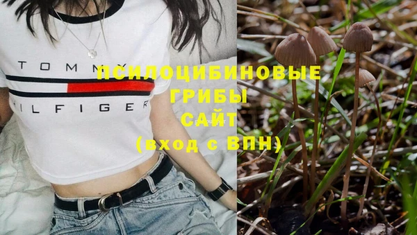 apvp Новокубанск