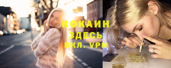 молекула духа Новозыбков