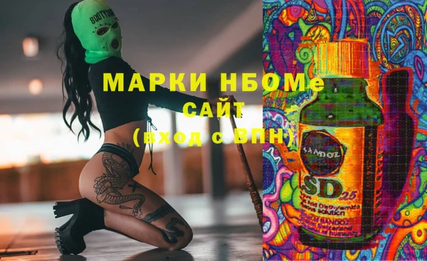 молекула духа Новозыбков
